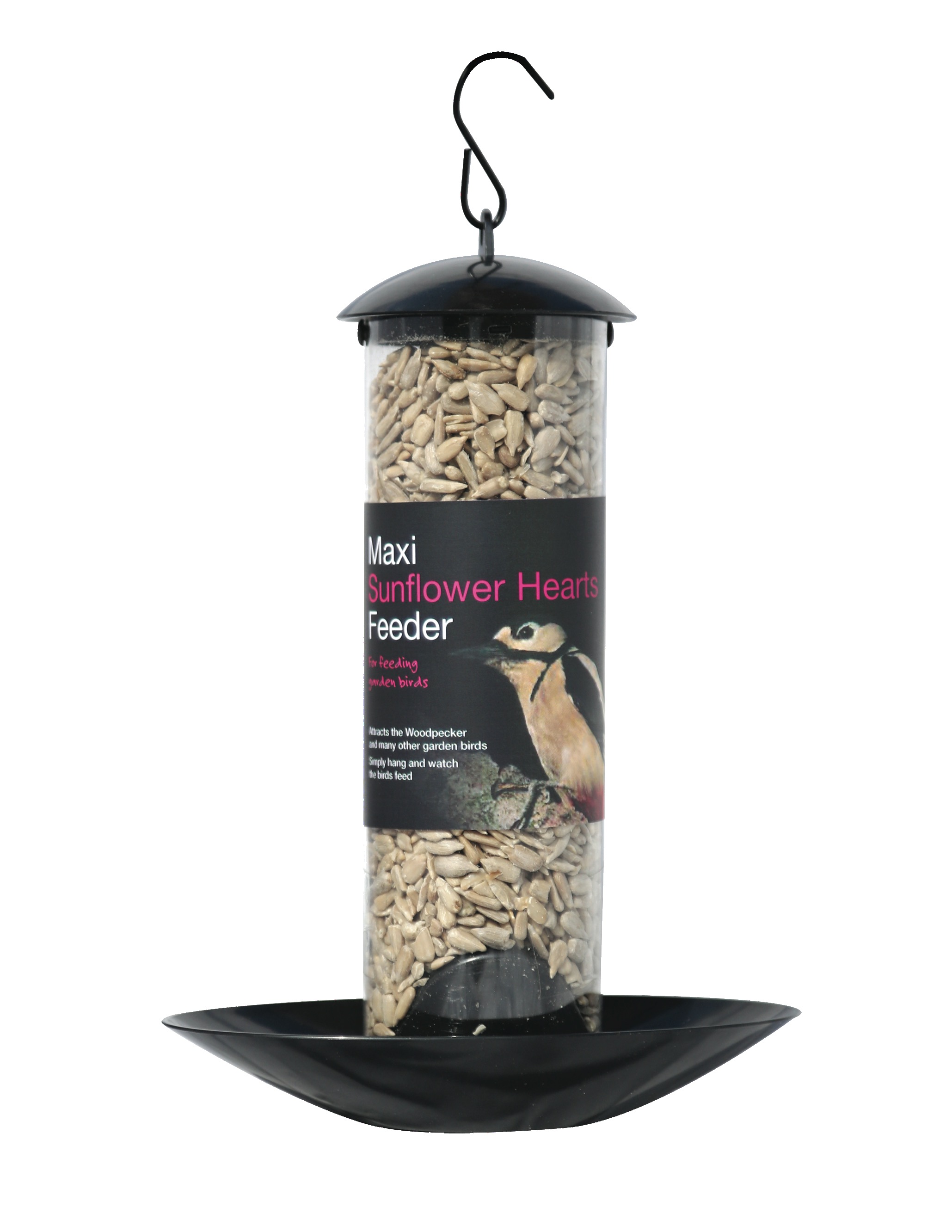 Scrummy Sunflower Hearts Maxi Feeder Tom Chambers