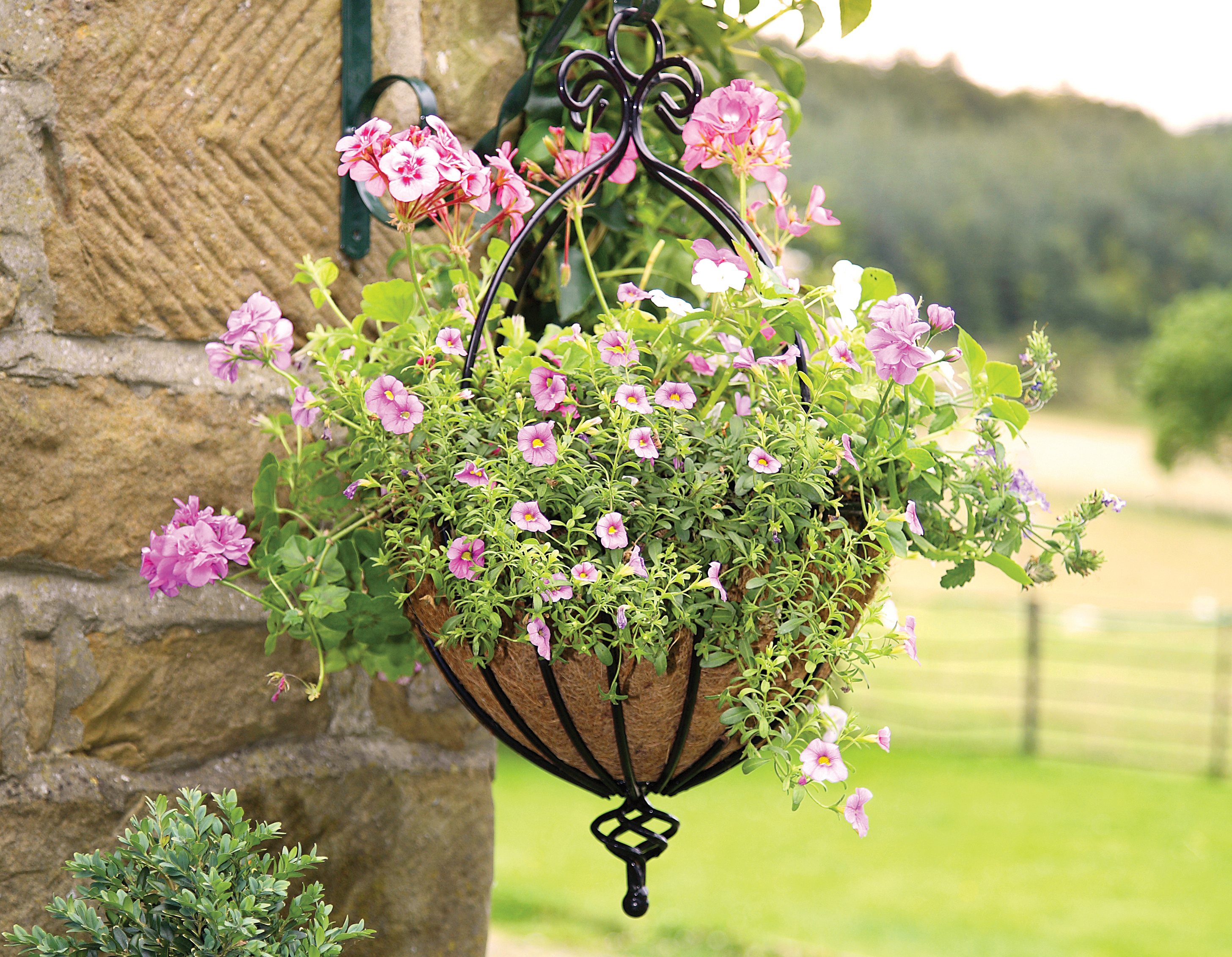Spanish Hanging Basket & Coco Liner Flower Plant Container 46cm Heavy Duty 